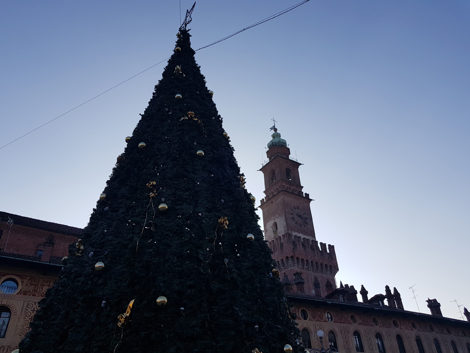 Città di Vigevano Codice rosso sulla violenza contro le donne